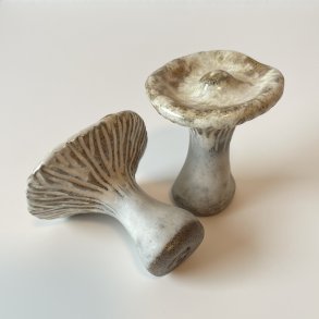 LAMELSVAMP - OFFWHITE/BRUN