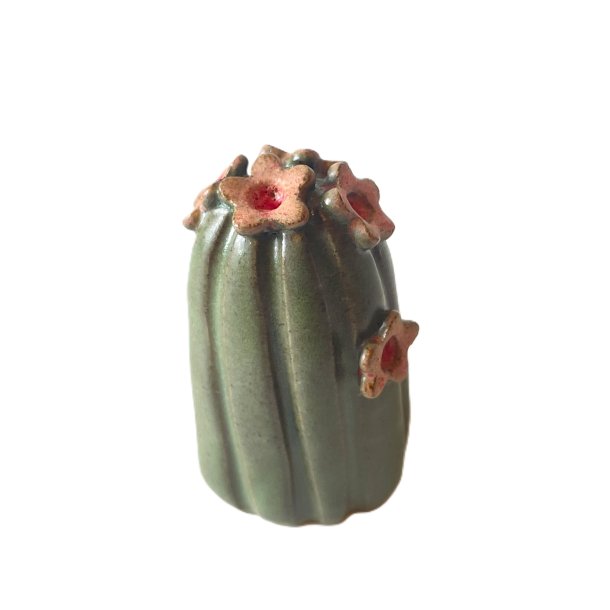 KAKTUS