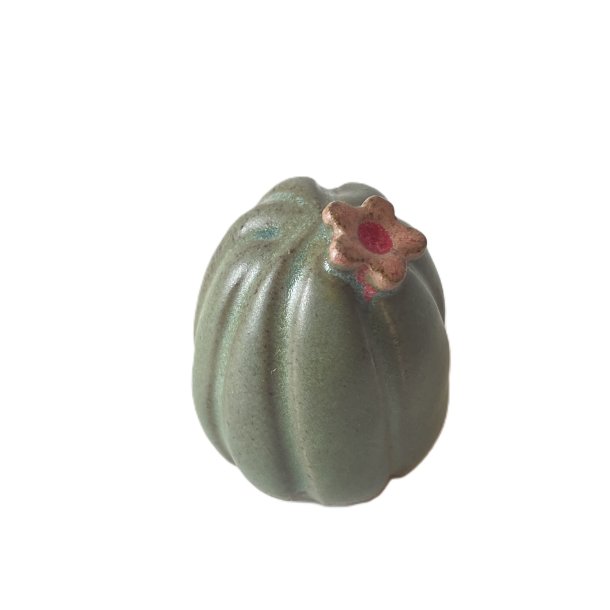 KAKTUS