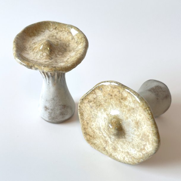 LAMELSVAMP - CREME/KRYSTAL