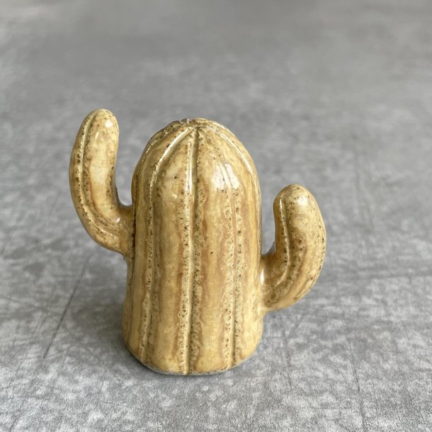 KAKTUS