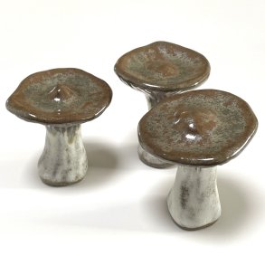 LAMELSSVAMP - GR�/BRUN