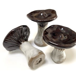 LAMELSSVAMP - M�RK BRUN