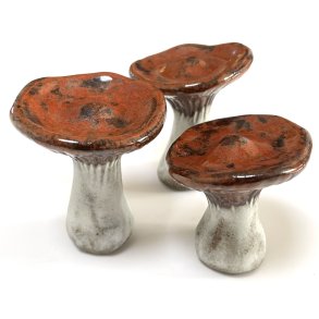 LAMELSSVAMP - RUSTR�D