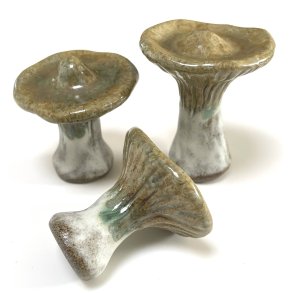 LAMELSSVAMP - KRYSTALGR�N