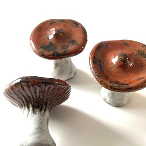 MINI LAMELSVAMP - RUSTR�D